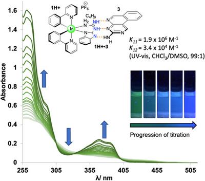 Elucidation of Charge Contribution in Iridium-Chelated Hydrogen-Bonding Systems